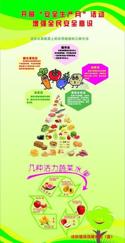 中华人民共和国食品安全法(图1)